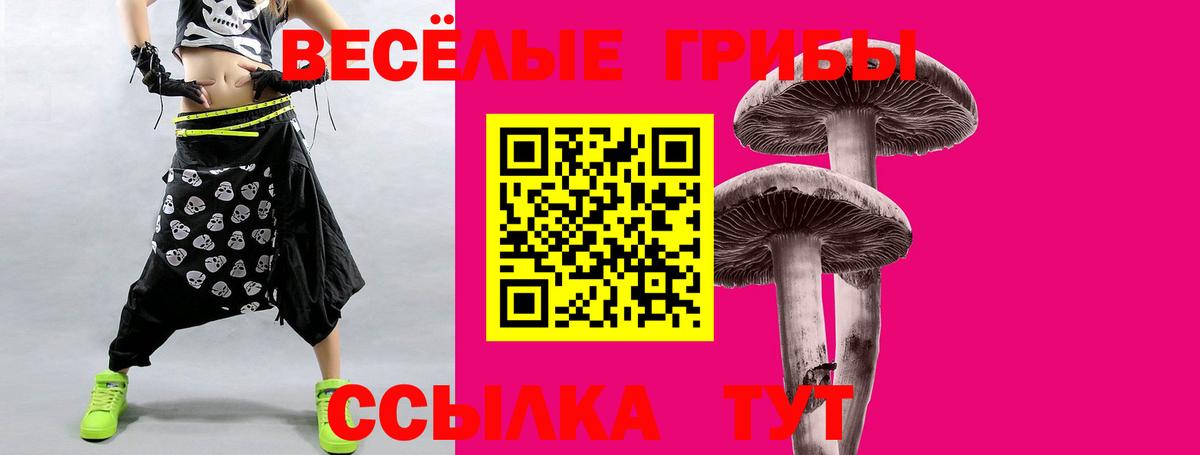 Юрга  Псилоцибиновые грибы MAGIC MUSHROOMS  Вход с VPN 